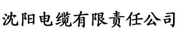 91香蕉下载免费版污电缆厂logo